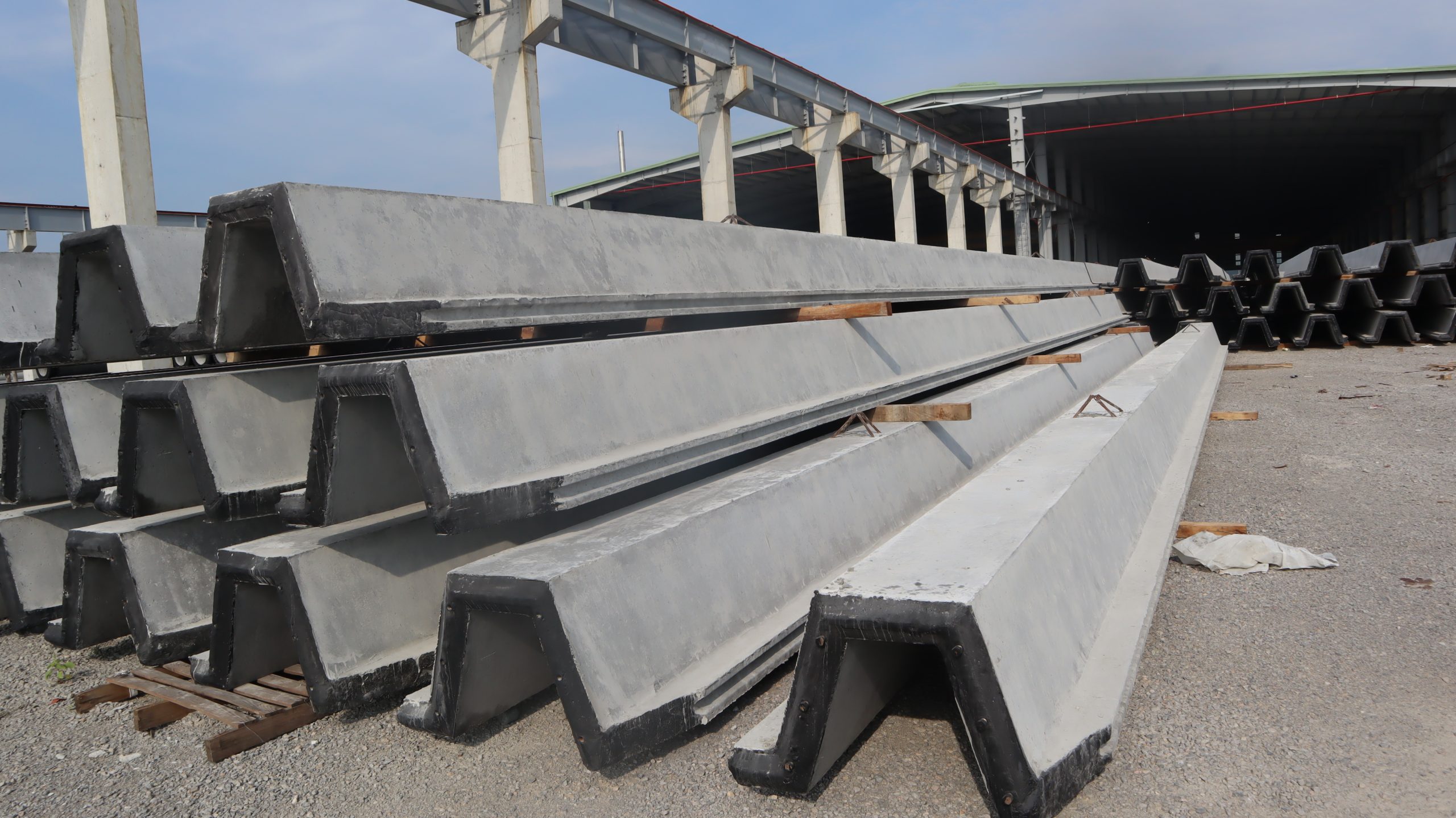 cừ ván bê tông đại dương tập kết tại bãi 