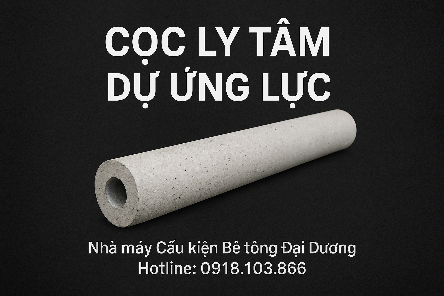 Cọc Ly Tâm Dự ứng Lực